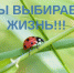 О вреде наркотиков - ГБУЗ ВО ОЦСМП
