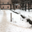 img_1094.jpg - VladimirOnline.Ru