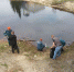 Гусевские спасатели провели очередной субботник на городском водохранилище - ГТРК Владимир