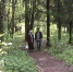 Парк "Добросельский" оставят без деревьев? - 6tv.Ru