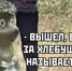Коронавирус: мем смешной, а ситуация страшная - Progorod33.Ru