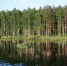 Бежит Тара меж лесных берегов - Призыв