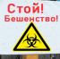 Во Владимирской области на территории деревни Хорятино введён карантин по бешенству - ГТРК Владимир