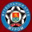 ФК «Муром» выехал на учебно-тренировочные сборы в Белоруссию - Владимирские Ведомости