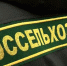 В Муромском и Гороховецком районах Россельхознадзор выявил вредителей хлебных запасов - Владимирские Ведомости
