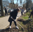 Субботник - добрая традиция - ГБПОУ ВО ВБМК