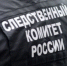 В Шуе задержали педофила из Владимирской области - Progorod33.Ru