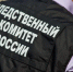 Под Рязанью задержали уроженца Владимирской области, подозреваемого в изнасиловании 17-летней девушки - ГТРК Владимир