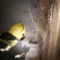 5c58e399-dd5c-4281-846f-6cc1c22c70f3.jpg - ГТРК Владимир