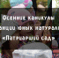 Осенние каникулы на станции юных натуралистов "Патриарший сад" - Город Владимир
