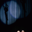 SKRVC0009-9951.jpg - Zebra-TV.Ru