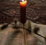 holiday-palm-sunday-macro-belarus.jpg - ГТРК Владимир