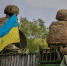«DefenceNet» об атаке Украины на Сватово-Кременном направлении: десантники в плену, бронетехника подбита - Молва