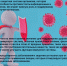 Иммунитет - ГБУЗ ВО ОКБ