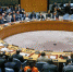 Российская Федерация наложила вето на резолюцию Франции о санкциях против Мали - Молва