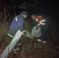 IBb0YggyudY.jpg - VladimirOnline.Ru