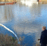 Во Владимирской области предприятие нанесло ущерб реке Клязьме на почти полмиллиона рублей - Сетевое издание Владимирские новости