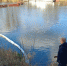 Во Владимире предприятие нанесло ущерб Клязьме почти на полмиллиона рублей - PRO Город Владимир