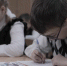 Во Владимирской области создали документально-публицистический фильм «Zа нами Zавтра» - Progorod33.Ru