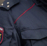 Во Владимире дебошир оскорбил зампрокурора и ударил полицейского - Сетевое издание Владимирские новости