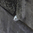 cV2wPY_xfMk.jpg - VladimirOnline.Ru