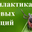О мерах по профилактике инфекций, передающихся клещами - Город Владимир
