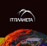 На олимпиаде «IT-Планета 2024» стартовали конкурсы по прикладному программированию и разработке игр - Минцифры Владимирской области