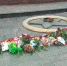 На протяжении всего дня владимирцы несут цветы к местам памяти жертв теракта в «Крокусе» - Сетевое издание Владимирские новости