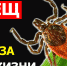 АДМИНИСТРАЦИЯ ФРУНЗЕНСКОГО РАЙОНА ИНФОРМИРУЕТ - Город Владимир