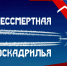 Над Владимирской областью пролетит «Бессмертная эскадрилья» - Администрация области