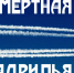 Над Владимирской областью пролетит "Бессмертная эскадрилья" - Progorod33.Ru