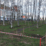 20 апреля во Владимире в рамках месячника благоустройства проходит общегородской субботник - PRO Город Владимир