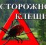 Профилактика клещевых инфекций - Город Владимир
