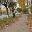 Во время уборки листвы сотрудники ЦУГД сломали лестницу на Октябрьском проспекте - 6tv.Ru
