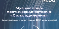 Музыкально-поэтическая встреча «Сила единения» - Город Владимир