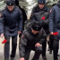 Во Владимире почтили память правоохранителей, погибших на службе - PRO Город Владимир