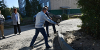 PXMAGoribsE.jpg - VladimirOnline.Ru