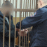 По делу о нападении мигрантов с палками заключены под стражу первые подозреваемые - Zebra-TV.Ru
