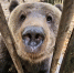 7241451047609.mp4_snapshot_01.14.071.jpg - VladimirOnline.Ru