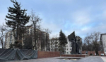 На площади Победы вырубят значительную часть елей