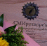 Владимирский городской телеканал "Вариант" занял призовое место во всероссийском конкурсе "СМИротворец" - Телеканал Вариант