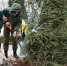 07.jpeg - VladimirOnline.Ru