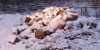 Во владимирском парке «Дружба» ликвидировали свалку - Progorod33.Ru