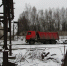 Ferromarg4.jpg - VladimirOnline.Ru