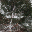 be76afc6-1989-47ff-9638-03ac423b87ef.jpg - ГТРК Владимир