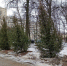 photo_2025-01-26_14-27-47.jpg - VladimirOnline.Ru