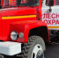 Из-за малоснежной зимы во Владимирской области уже готов сводный план тушения лесных пожаров - Progorod33.Ru