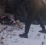 Рязанские полицейские задержали банду грабивших владимирских пенсионеров мошенников - PRO Город Владимир