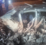 Мужчина погиб в аварии с молоковозом на трассе «Владимир - Муром» - Владимирские Ведомости