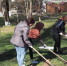 Традиционные субботники во Владимирской области стартуют во второй половине марта - PRO Город Владимир